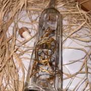 ФЛАША ЗА ВИНО